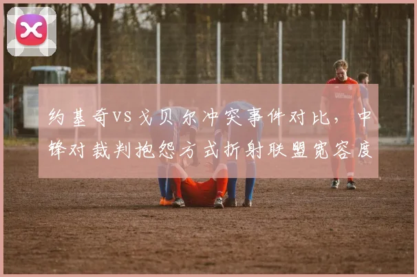 约基奇vs戈贝尔冲突事件对比,中锋对裁判抱怨方式折射联盟宽容度