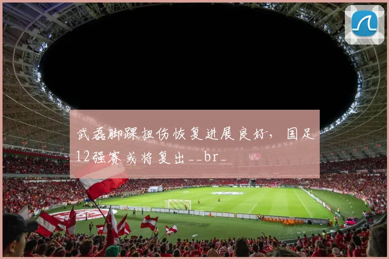 武磊脚踝扭伤恢复进展良好,国足12强赛或将复出__br_